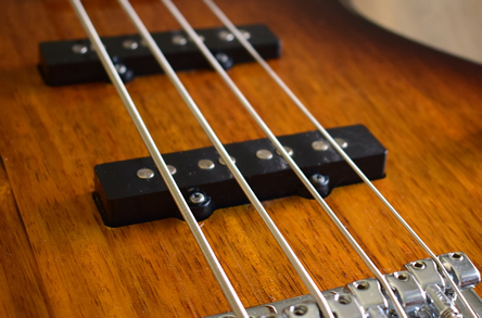 bass-guitar bass-guitar